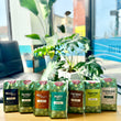 Load image into Gallery viewer, NEW! Travel Michigan Series Bundle