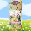 Load image into Gallery viewer, Cherry Blossom Blend
